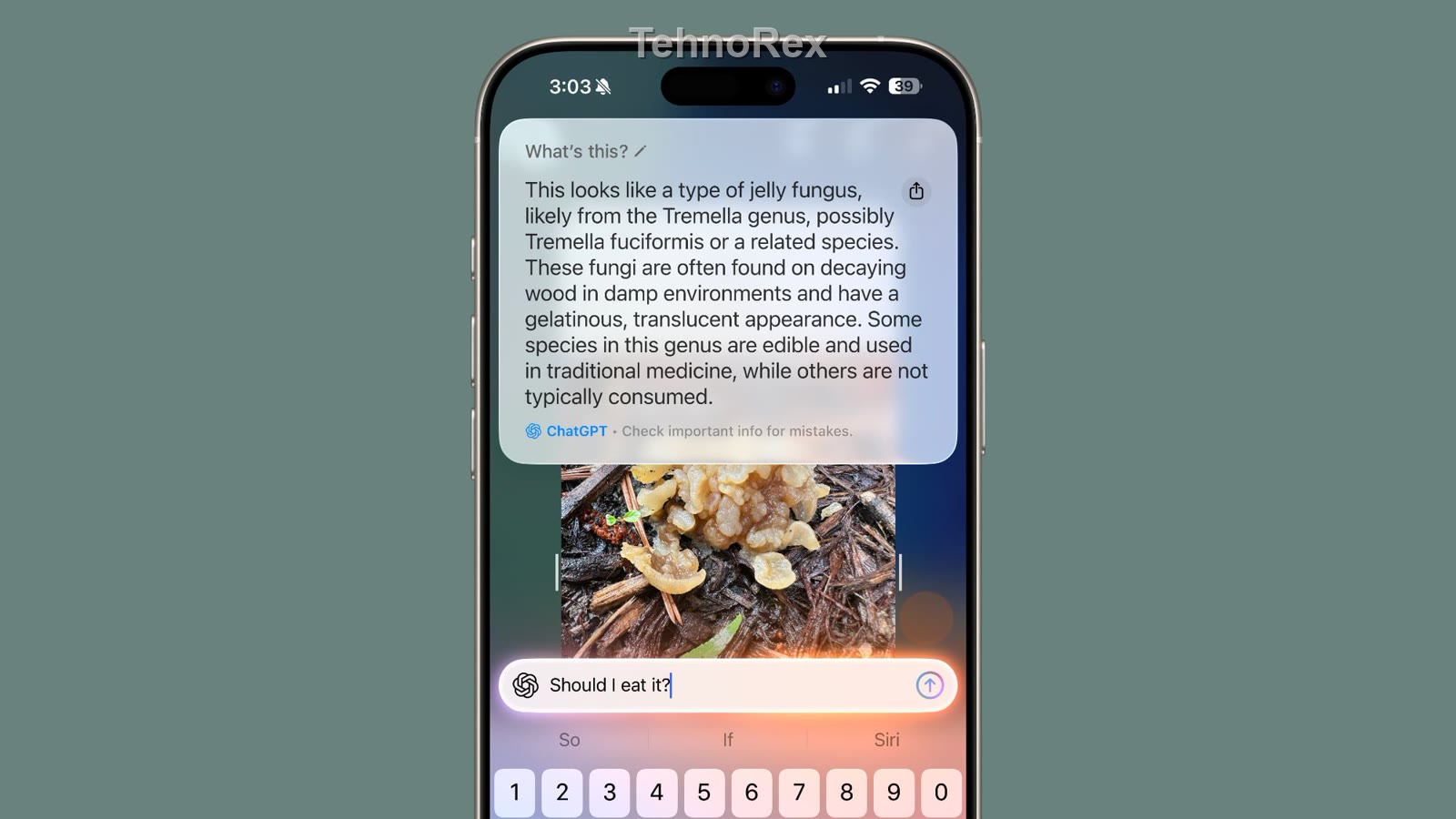 В iOS 27 нашли следы спонсорских результатов в Visual Intelligence