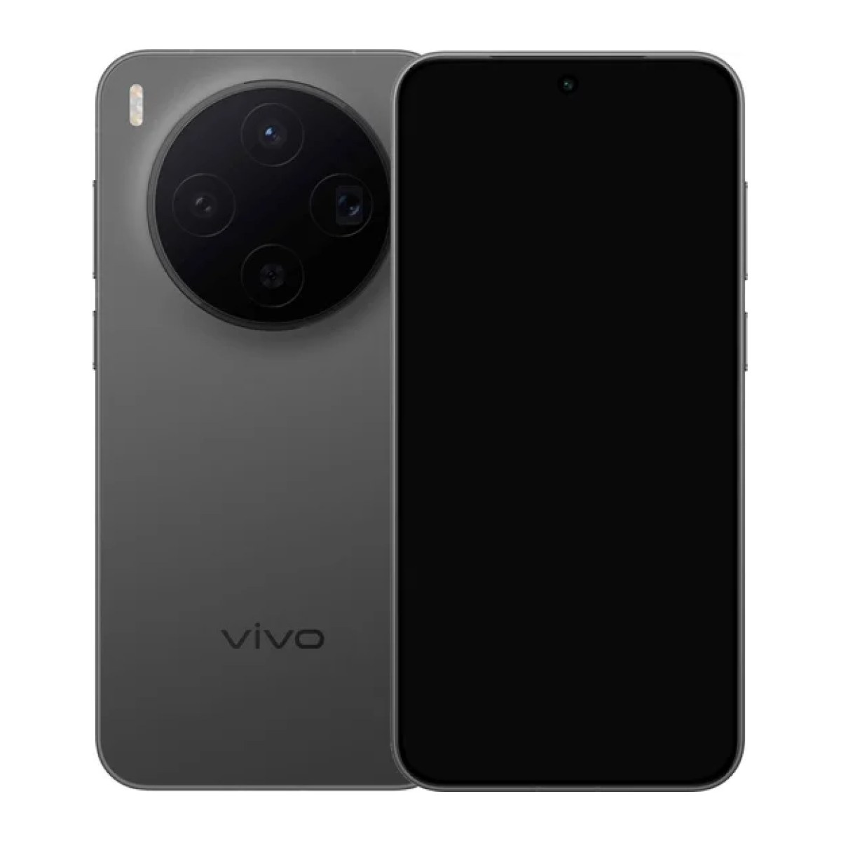vivo X300