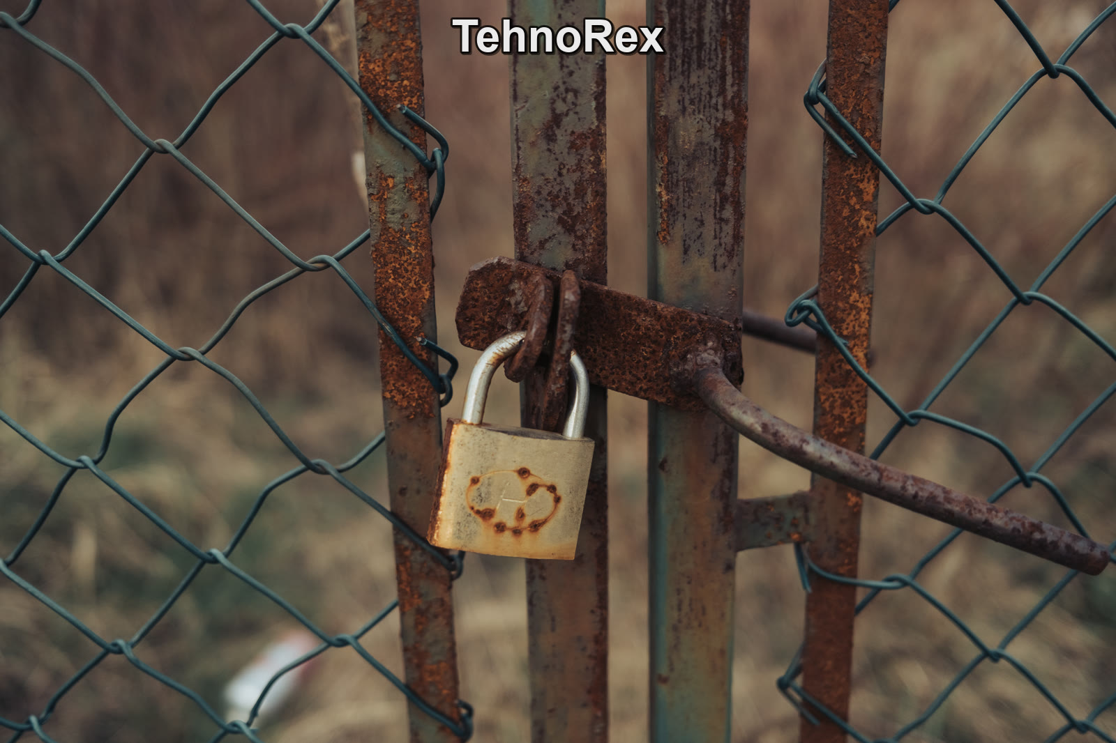 Фишинг Trezor пришёл с настоящего mailing@trezor.io — проверка адреса не спасла