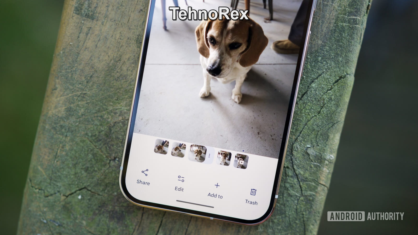 Google Photos сломался на Pixel: кнопки редактора перестали отвечать