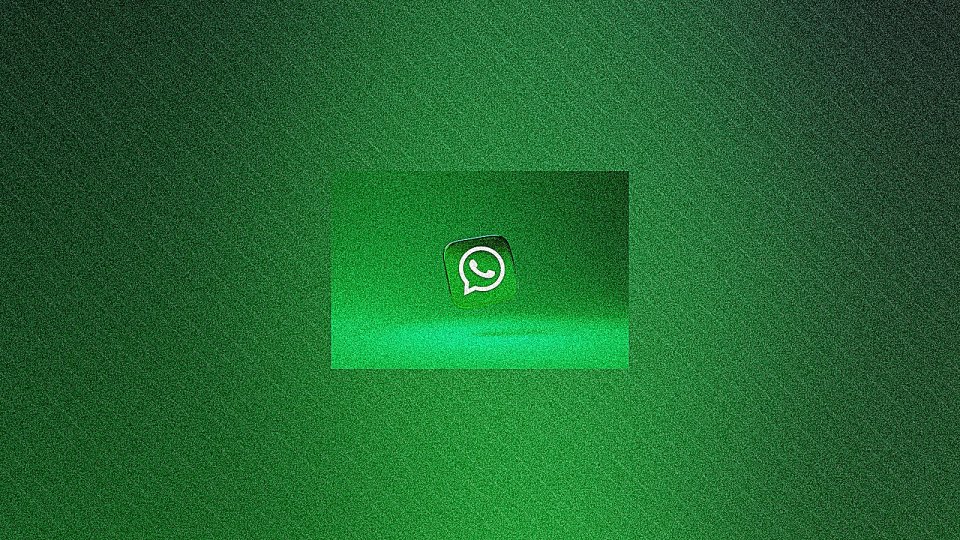WhatsApp в России: +4,4% за август — впервые рост после блокировки